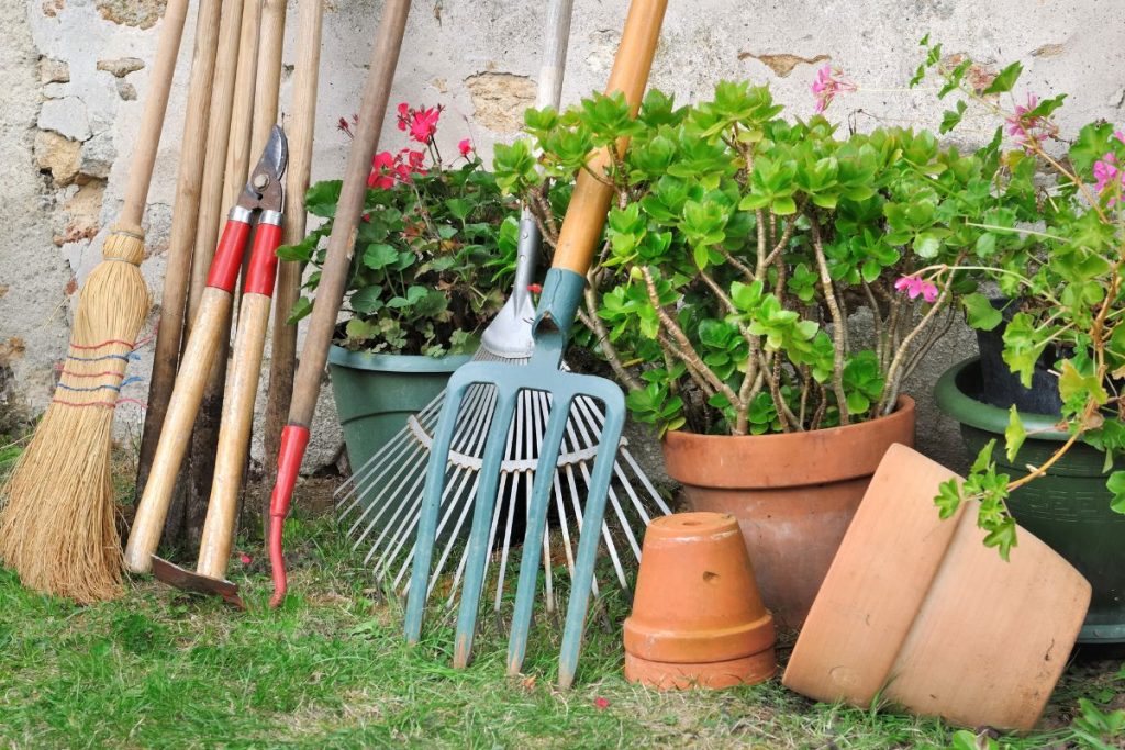 manutenzione giardino