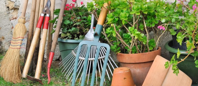 manutenzione giardino
