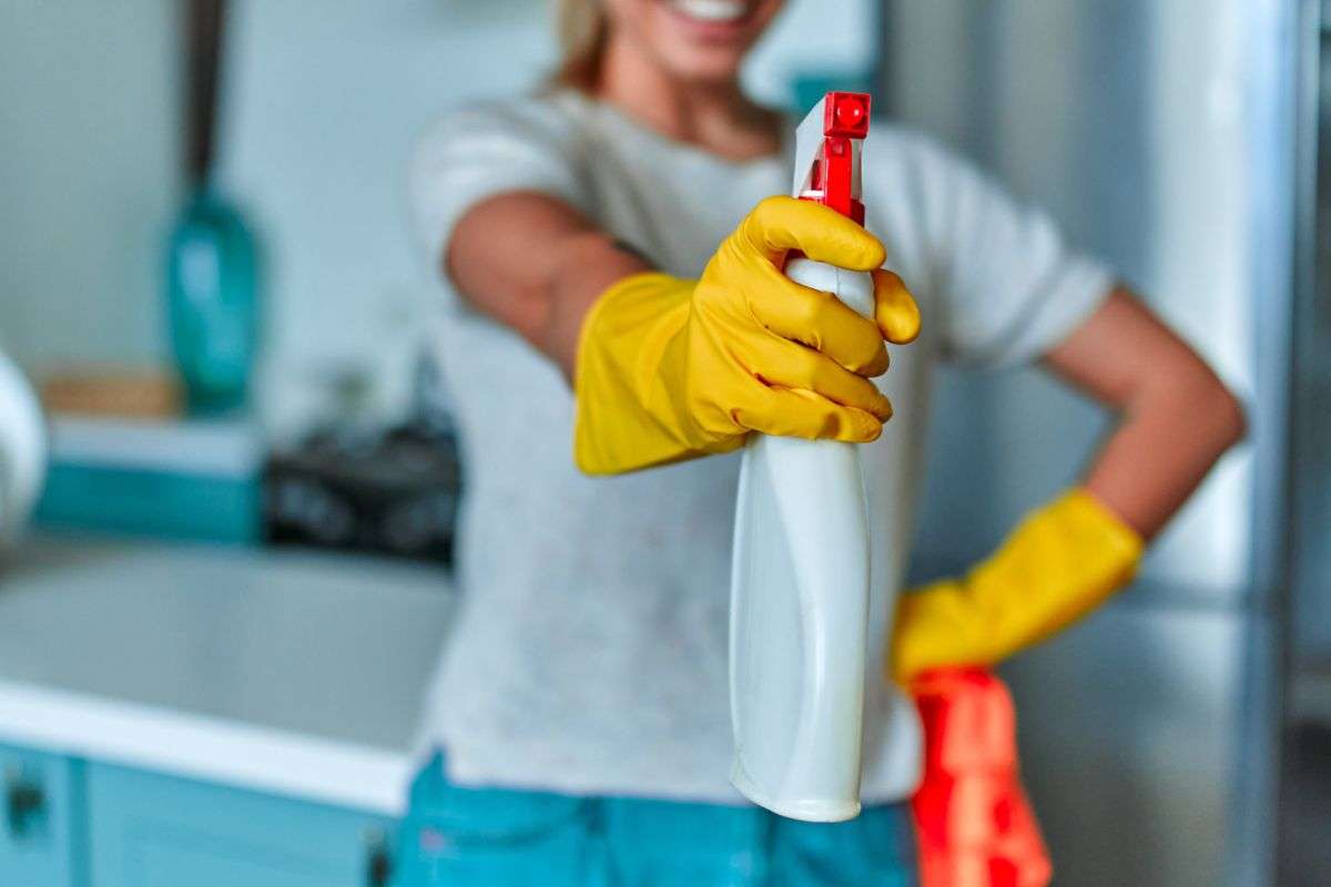 servizi di pulizie domestiche